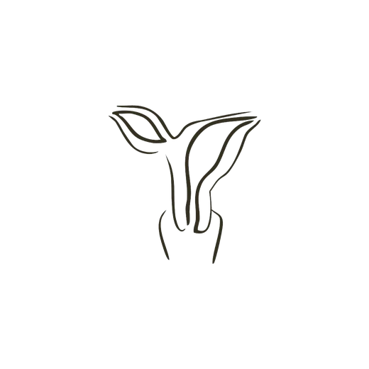 Representación uterina 6 de 7